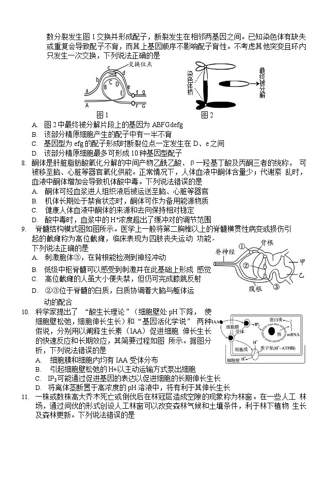 山东省潍坊市、临沂市、德州市2024-2025学年上学期期末检测 高三生物试题及答案第3页
