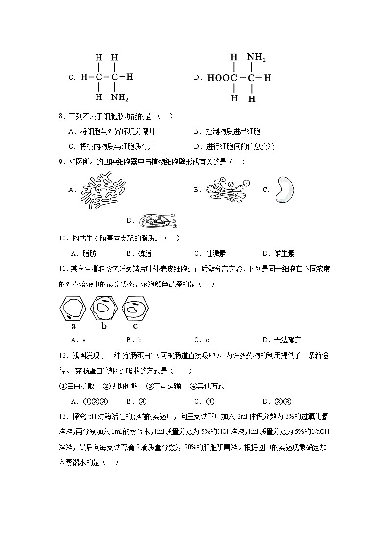 江苏省淮安市普通高中2024-2025学年高二学业水平合格性考试模拟试卷生物试题第2页