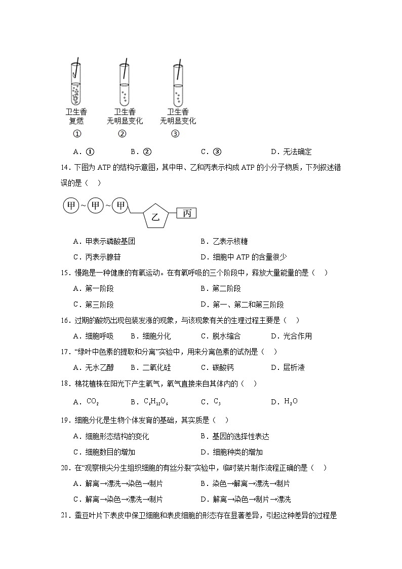 江苏省淮安市普通高中2024-2025学年高二学业水平合格性考试模拟试卷生物试题第3页