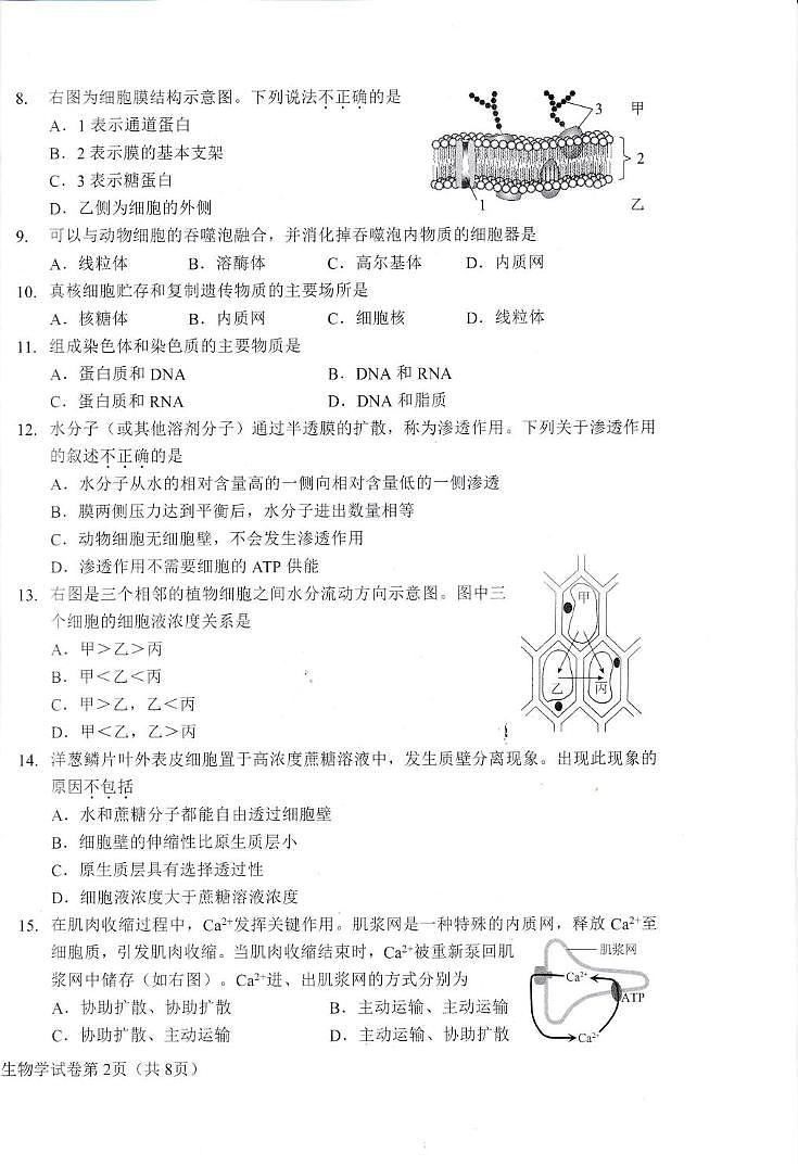 2025年北京市昌平區(qū)高一年級(jí)上學(xué)期期末考試生物試卷第2頁(yè)