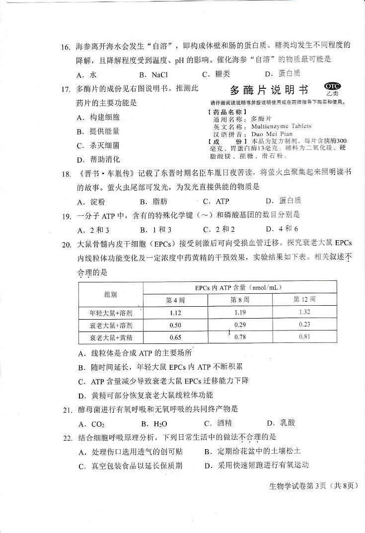 2025年北京市昌平區(qū)高一年級(jí)上學(xué)期期末考試生物試卷第3頁(yè)