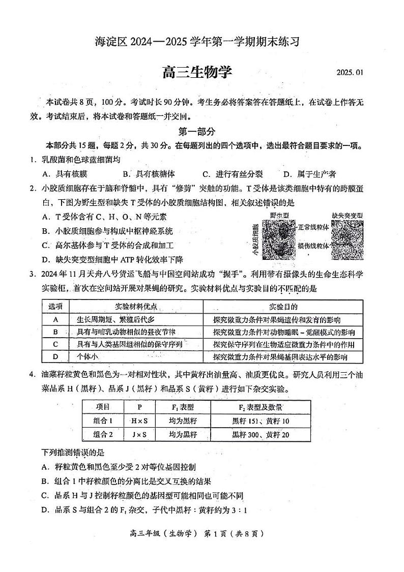 北京市海淀区2024-2025学年高三上学期1月期末考试生物试卷第1页