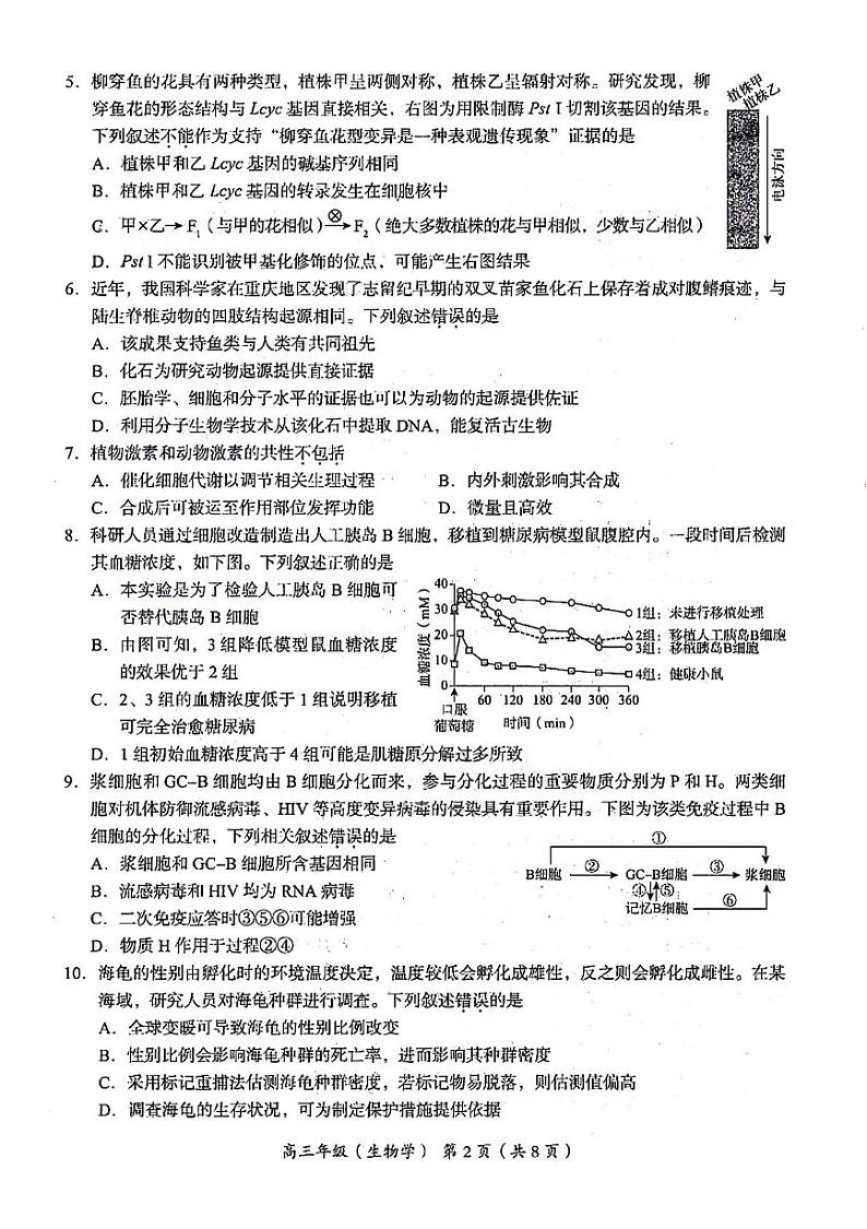北京市海淀区2024-2025学年高三上学期1月期末考试生物试卷第2页