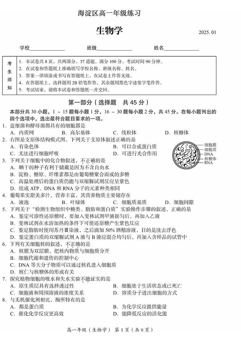 北京市海淀区2024-2025学年高一上学期1月期末考试生物试卷第1页