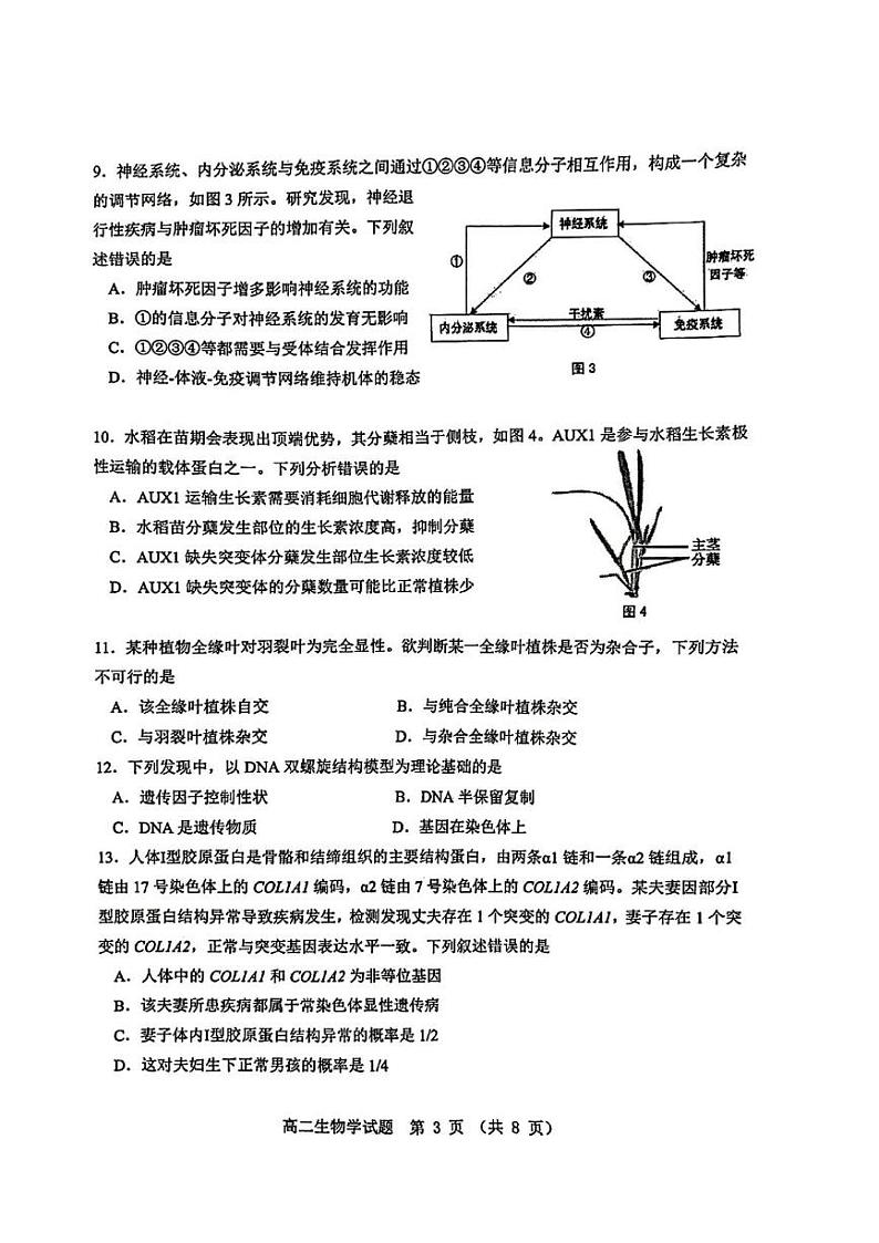 广东省江门市2024-2025学年高二上学期1月期末生物试题第3页