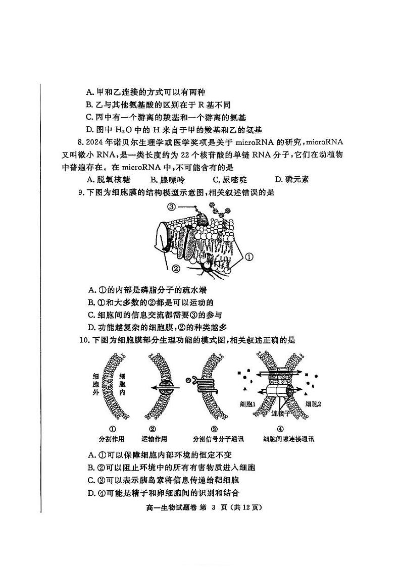 河南省郑州市2024-2025学年高一上学期期末生物试卷及答案第3页