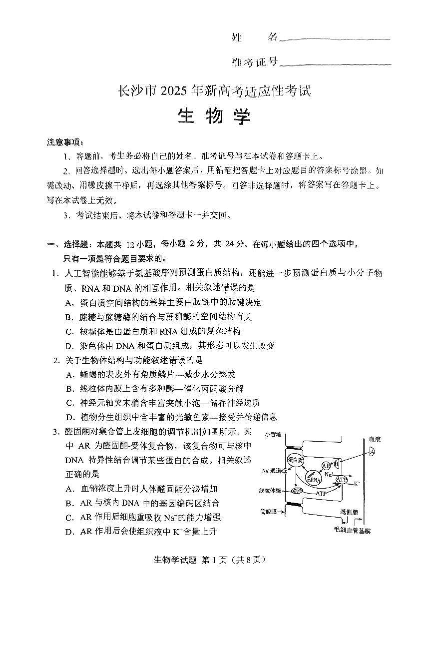 2025屆湖南省長沙市高三上學(xué)期新高考適應(yīng)性考試 生物試題（原卷）第1頁