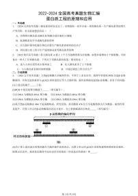 2022-2024全国高考真题生物汇编：蛋白质工程的原理和应用