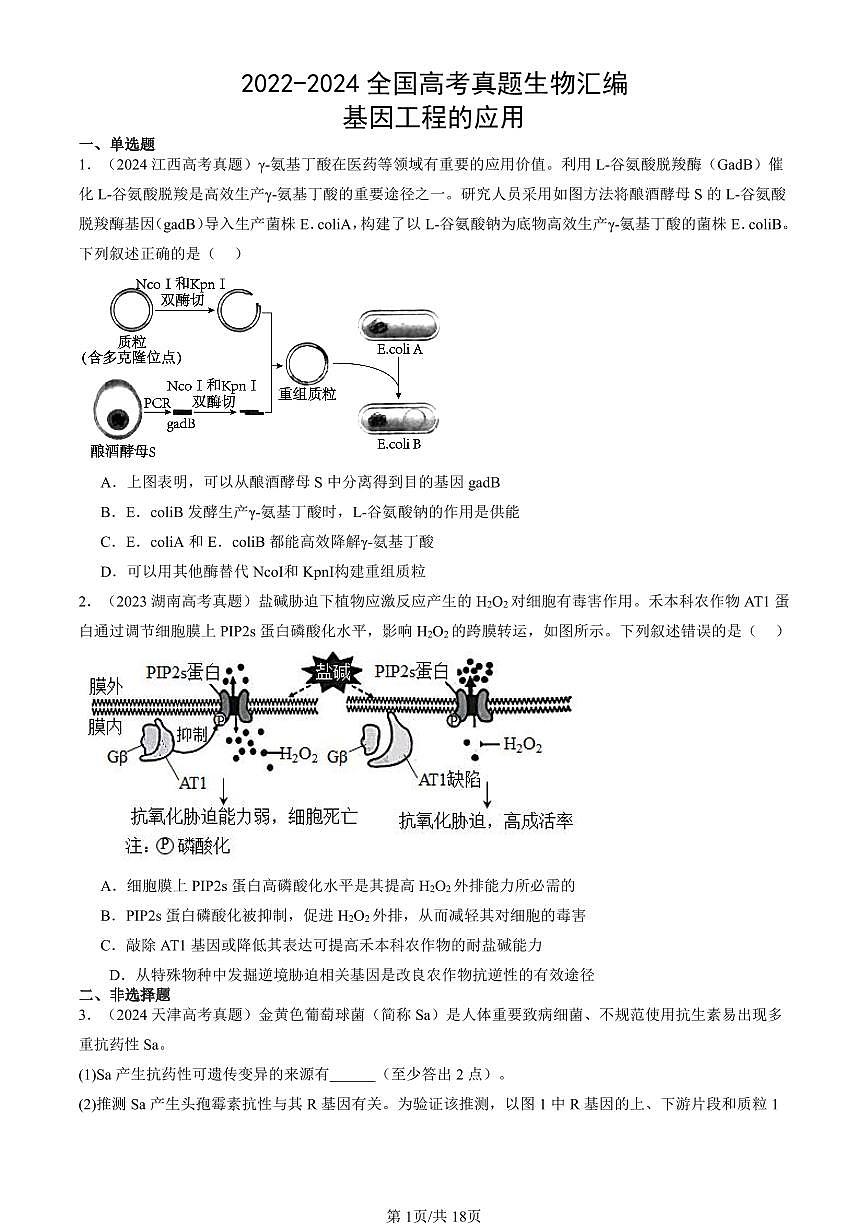 2022-2024全國(guó)高考真題生物匯編：基因工程的應(yīng)用第1頁(yè)