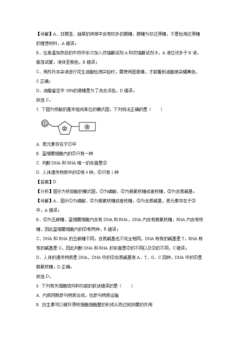 浙江省台州市山海协作体2024-2025学年高一上学期期中联考生物试卷(解析版)第3页