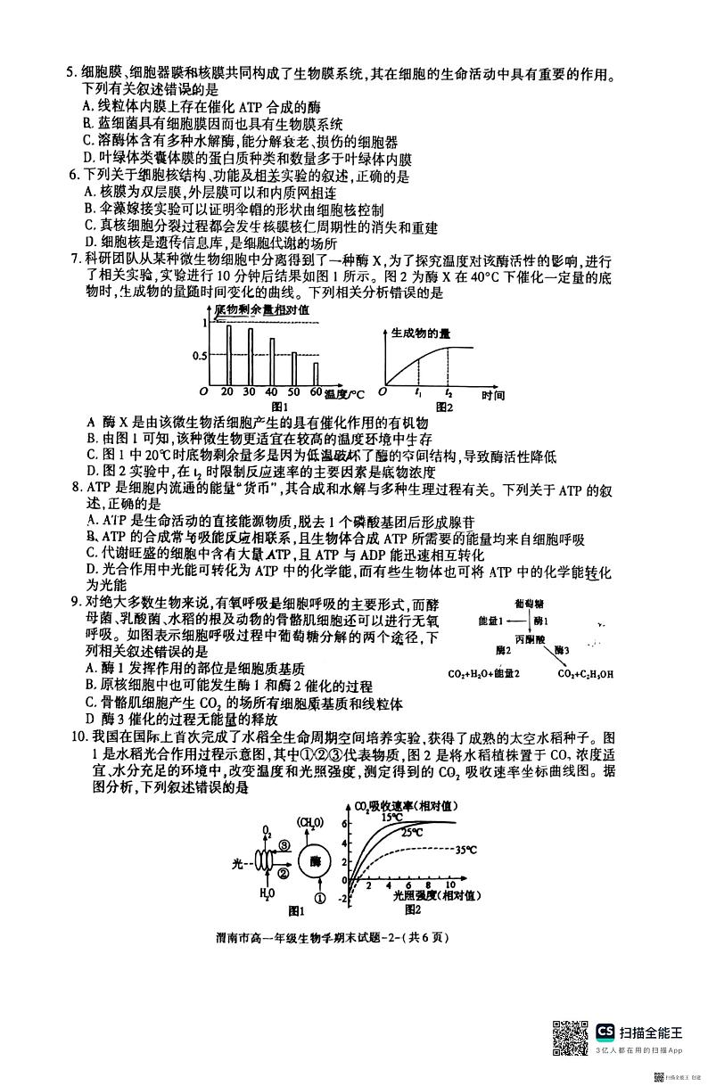 2024-2025年度陕西省渭南市高一生物第一学期期末考试试题第2页