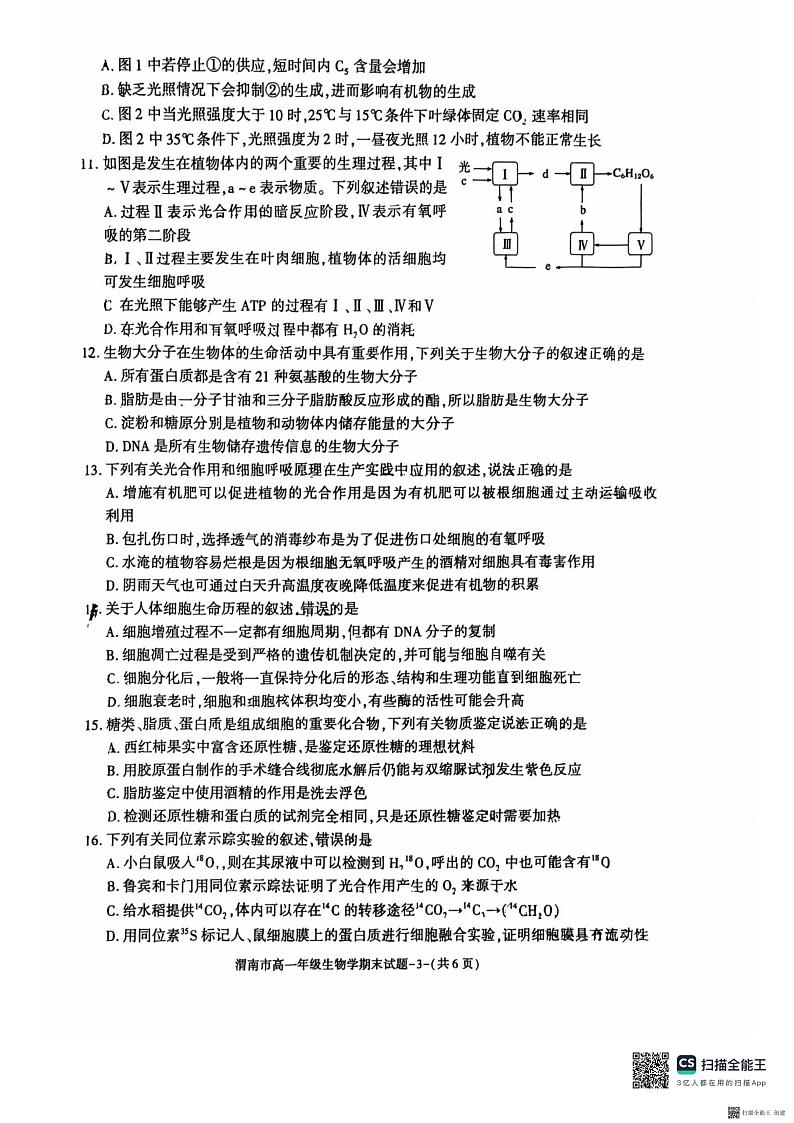 2024-2025年度陕西省渭南市高一生物第一学期期末考试试题第3页