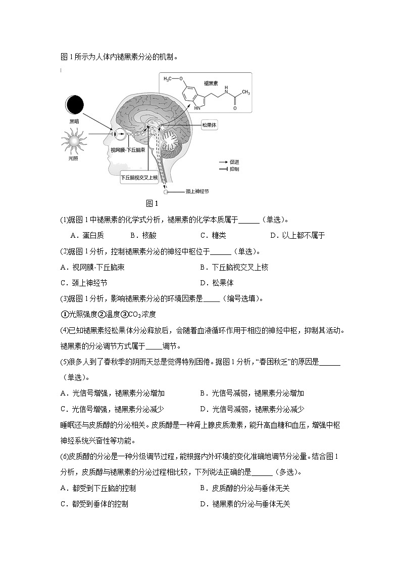 上海市金山区2024-2025学年高三上学期一模生物试题第3页