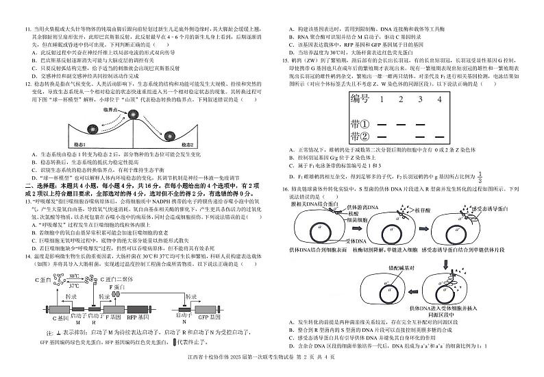 生物试卷第2页