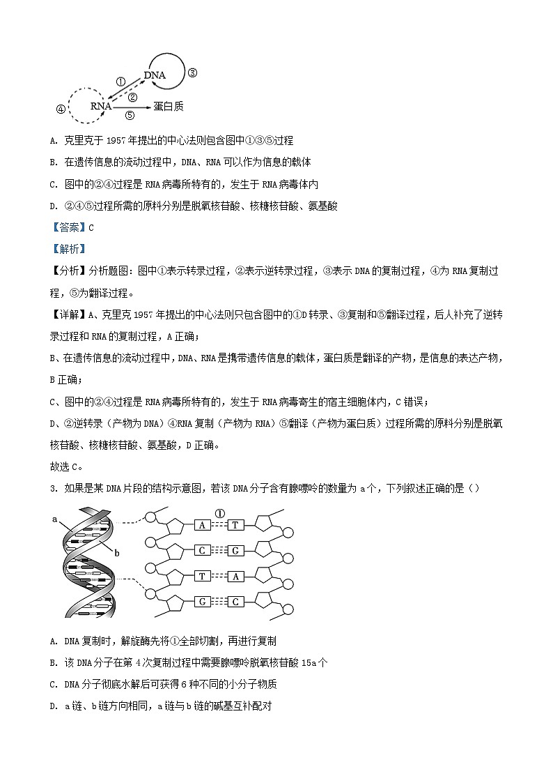 江西省2023_2024学年高一生物上学期12月月考试题含解析第2页