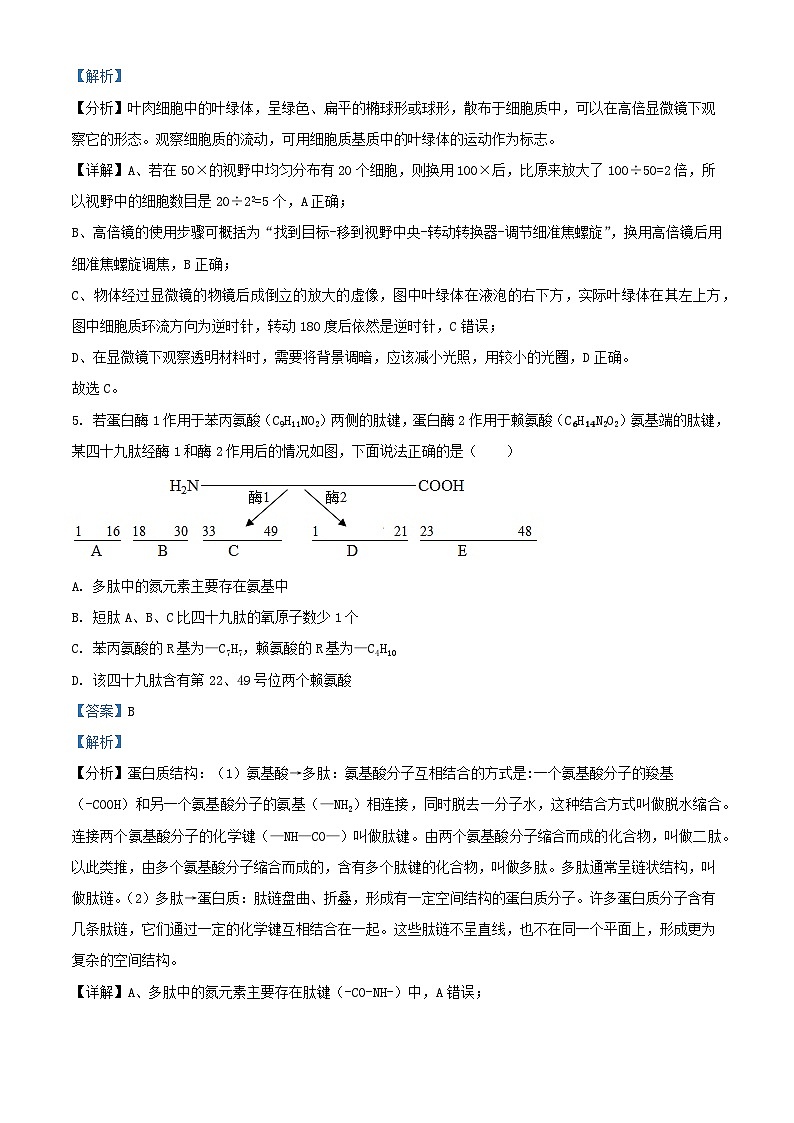 江西省信丰县2023_2024学年高一生物上学期第三次月考试题含解析第3页