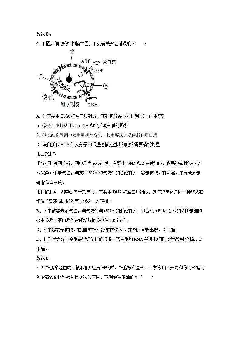 2023~2024学年黑龙江省鹤岗市工农区鹤岗市第一中学高一上学期期末考试生物试卷(解析版)第3页