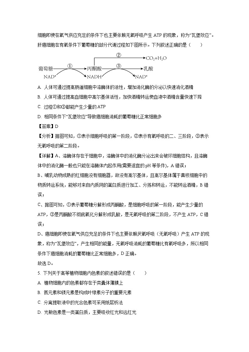 2024~2025学年湖南省长沙市望城区第二中学高一上学期期末考试生物试卷(解析版)第3页