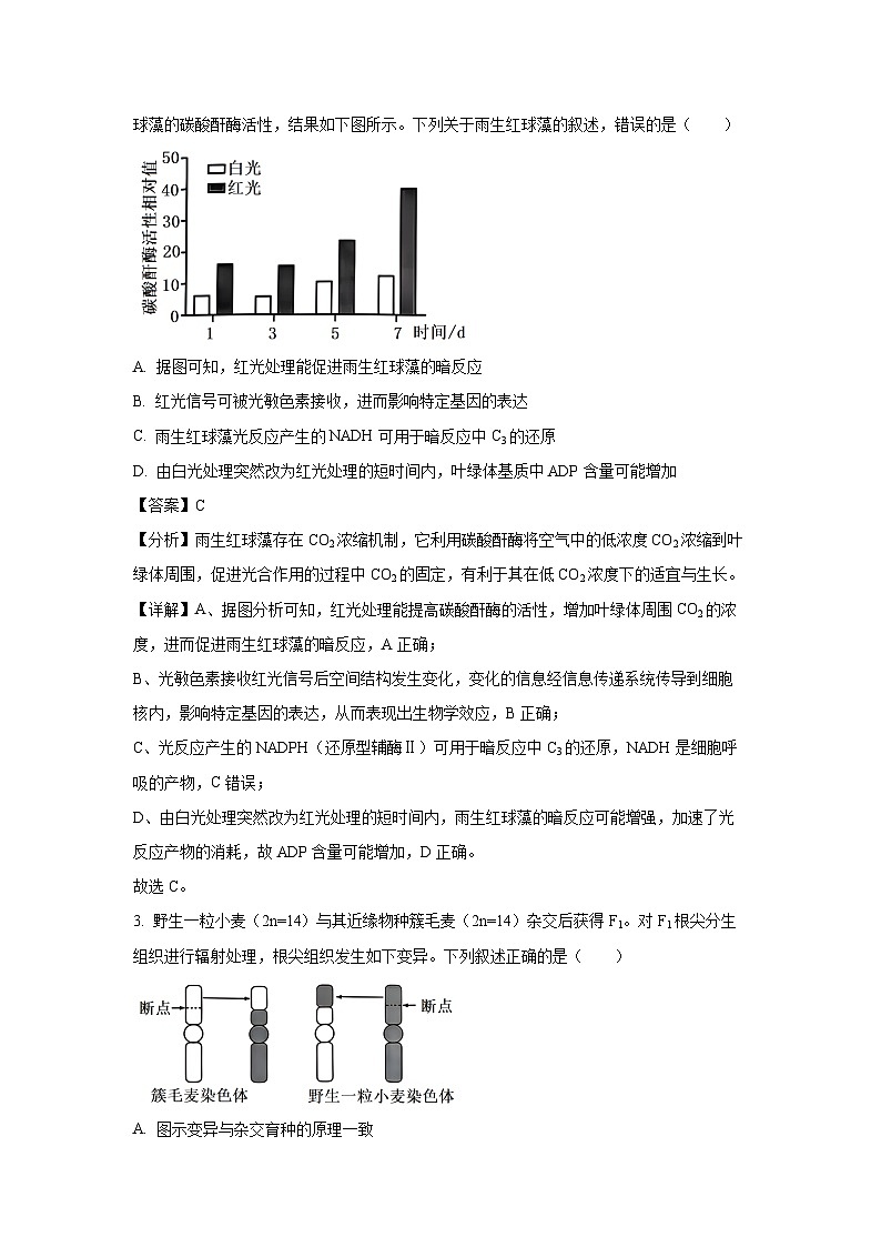 2024~2025学年湖南省部分市县高二上学期11月期中联考生物试卷(解析版)第2页