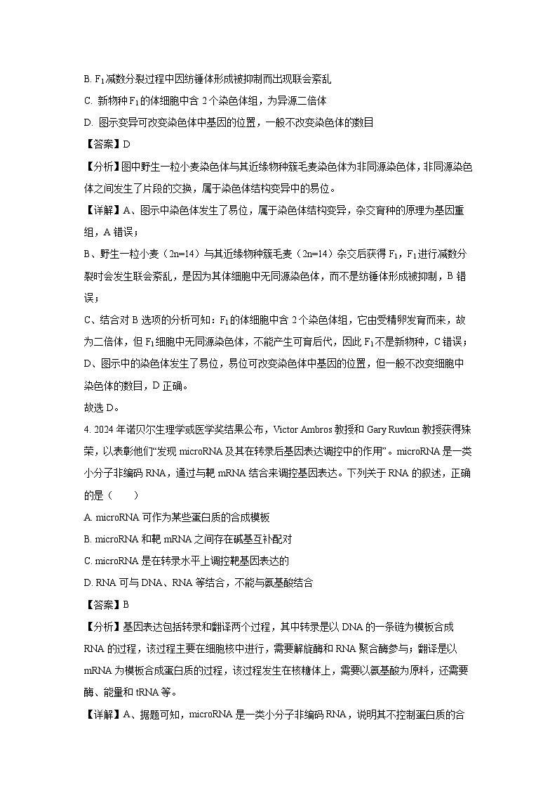 2024~2025学年湖南省部分市县高二上学期11月期中联考生物试卷(解析版)第3页