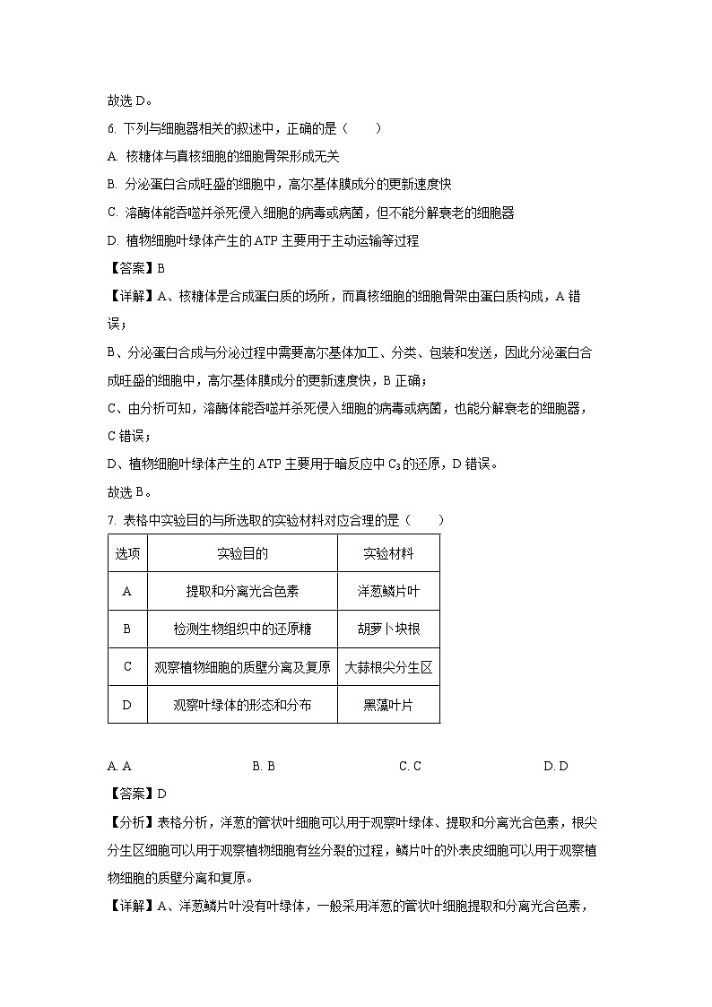 2024~2025学年湖南省娄底市涟源市部分学校高一选科考试高一上学期12月月考生物试卷(解析版)第3页