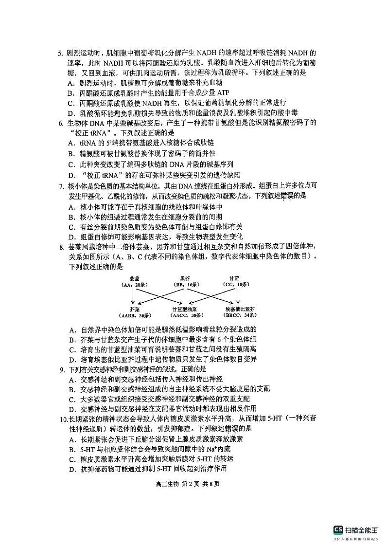 江苏省苏州市2024-2025学年高三上学期1月期末生物试题第2页
