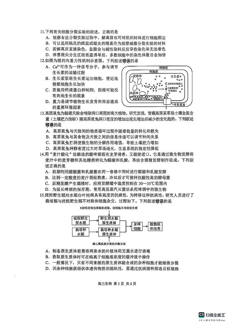 江苏省苏州市2024-2025学年高三上学期1月期末生物试题第3页