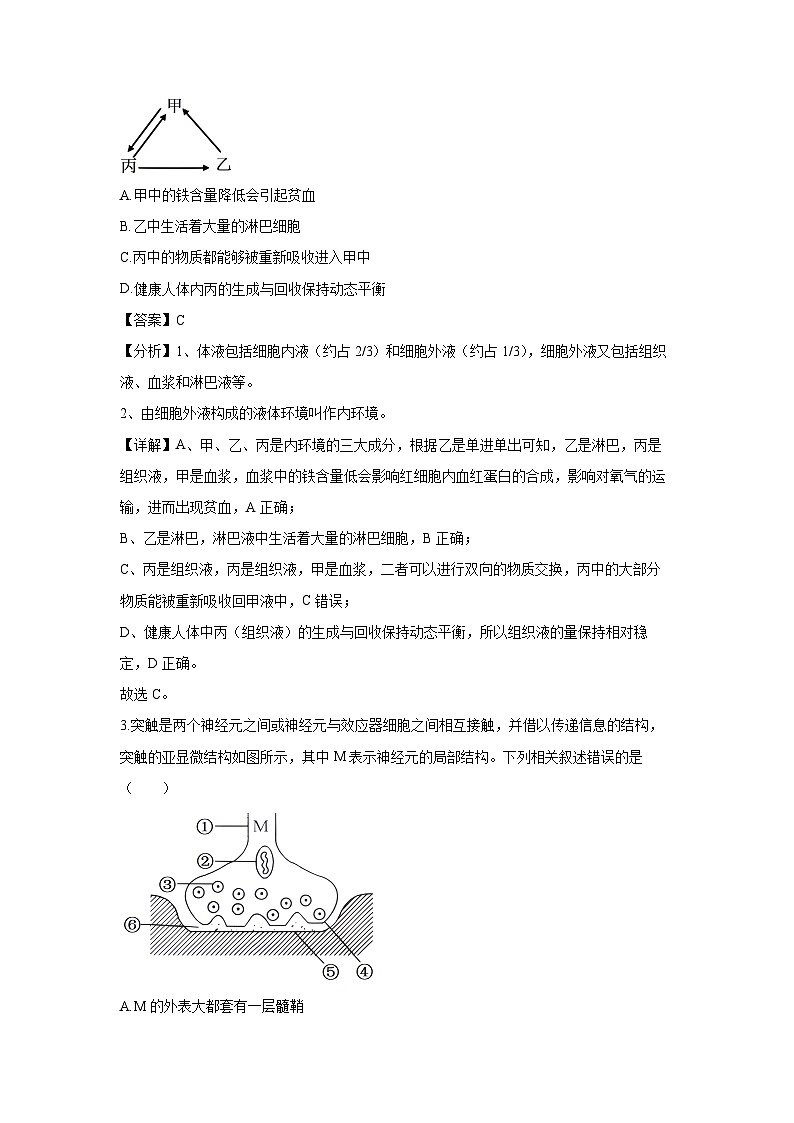 2024~2025学年广西壮族自治区部分学校高二上学期11月期中生物试卷(解析版)第2页