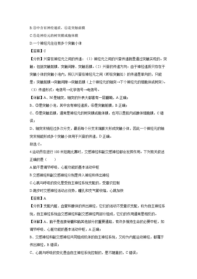 2024~2025学年广西壮族自治区部分学校高二上学期11月期中生物试卷(解析版)第3页