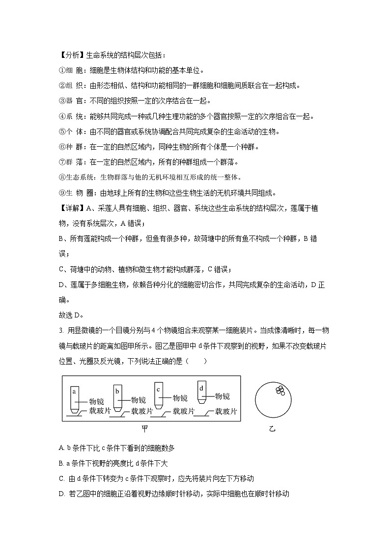 2024~2025学年广东省深圳市坪山区深圳市聚龙科学中学教育集团第二次段考高一上学期12月月考生物试卷(解析版)第2页