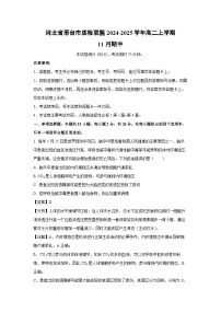 2024~2025學(xué)年河北省邢臺(tái)市質(zhì)檢聯(lián)盟高二上學(xué)期11月期中生物試卷（解析版）