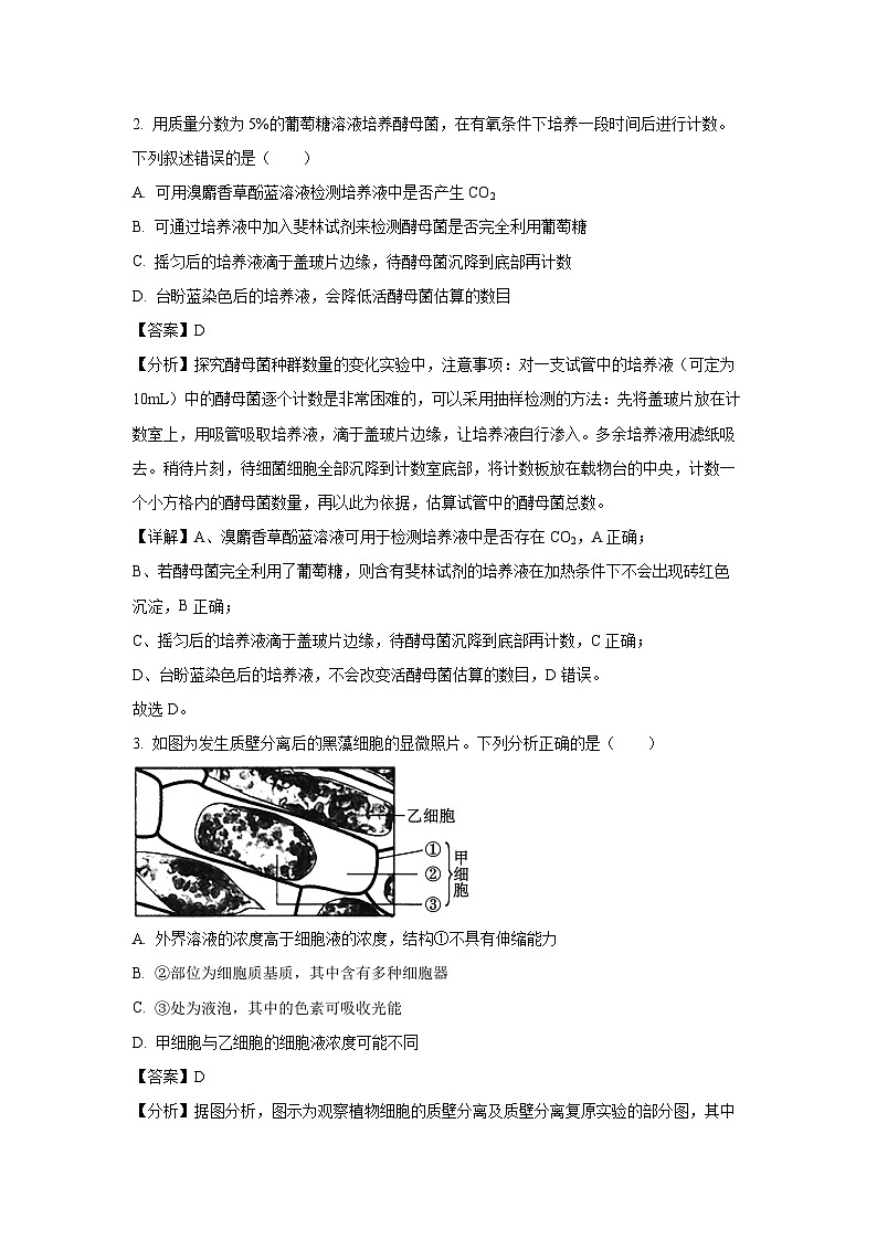 2024~2025学年河北省沧州市运东五校高三上学期11月期中考试生物试卷(解析版)第2页