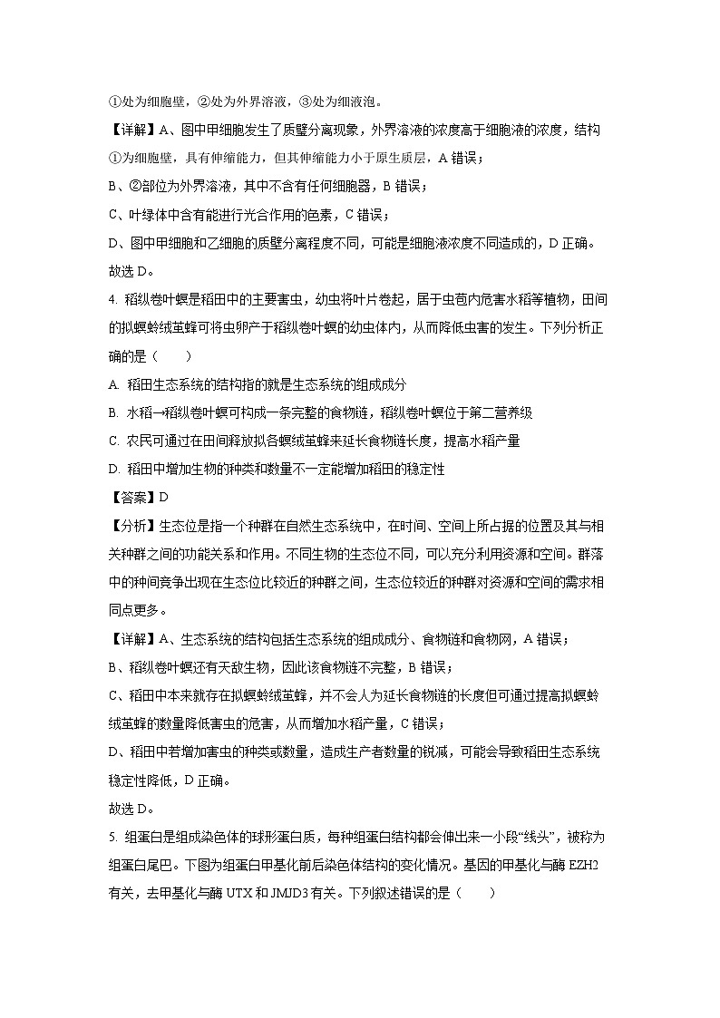 2024~2025学年河北省沧州市运东五校高三上学期11月期中考试生物试卷(解析版)第3页