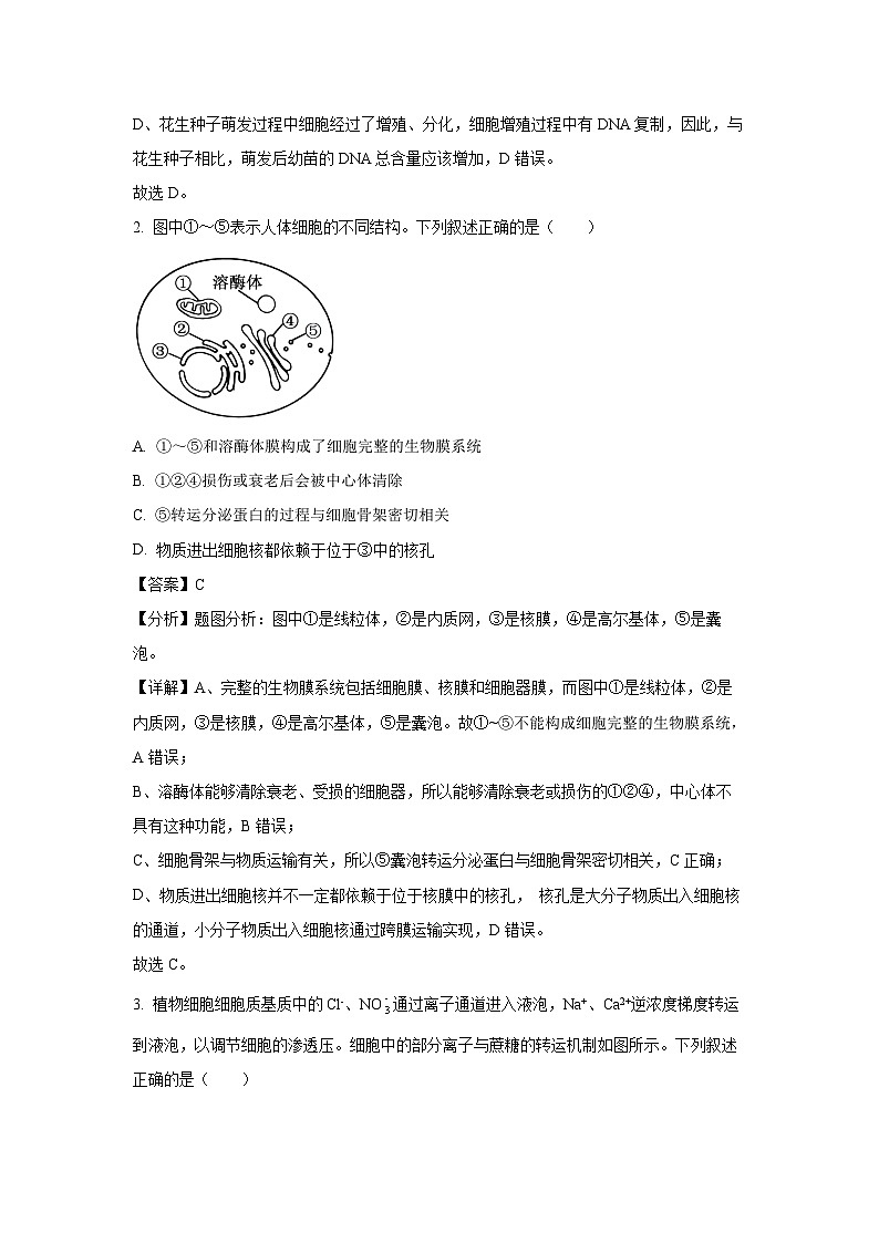 2024~2025学年河北省沧州市沧衡名校联盟高三上学期11月期中考试生物试卷(解析版)第2页