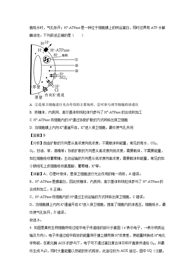 2024~2025学年江西省八校协作体高二上学期第一次联考月考生物试卷(解析版)第3页