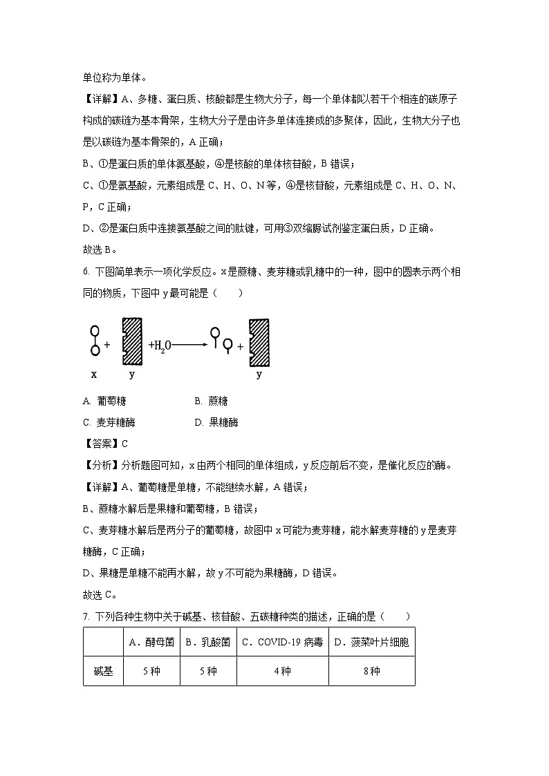 2024~2025学年江苏省百校大联考高一上学期12月阶段测试生物试卷(解析版)第3页