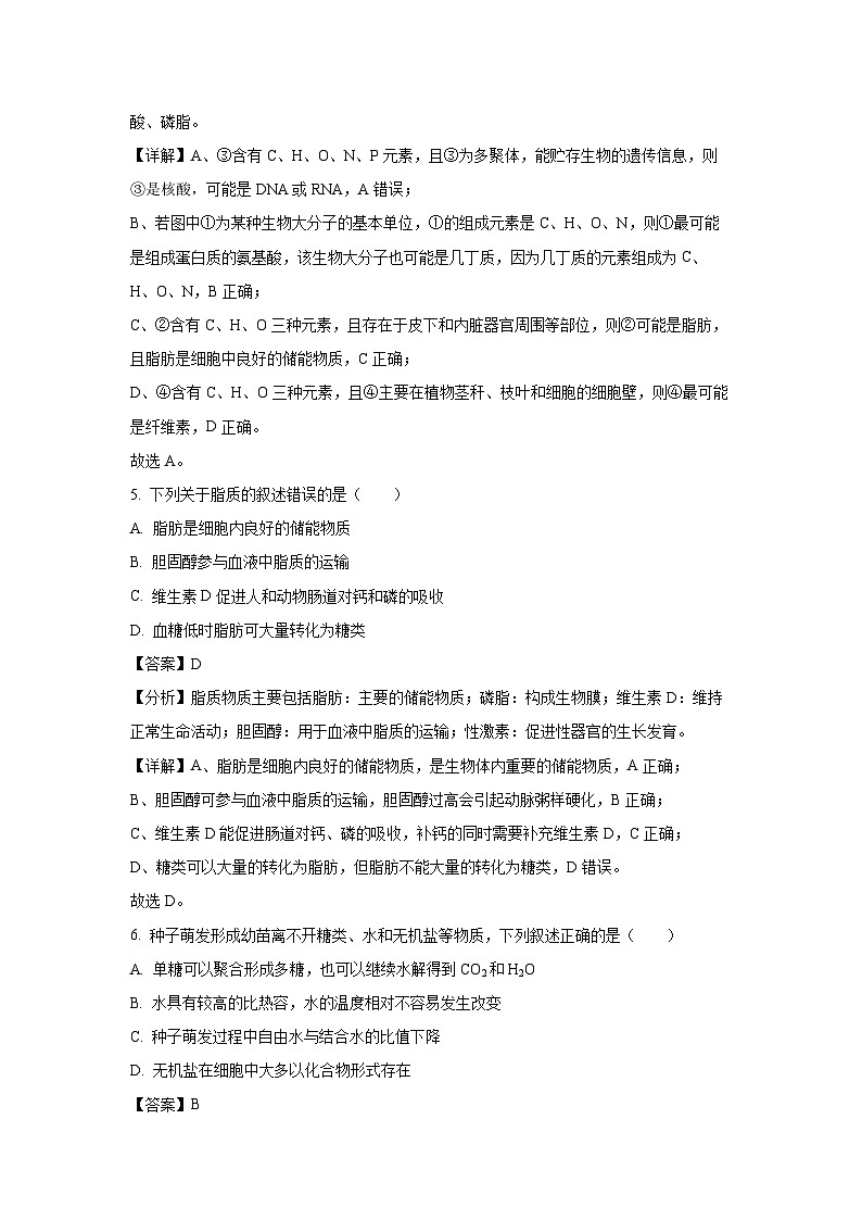 2024~2025学年江西省赣州市大余县部分学校联考高一上学期12月月考生物试卷(解析版)第3页