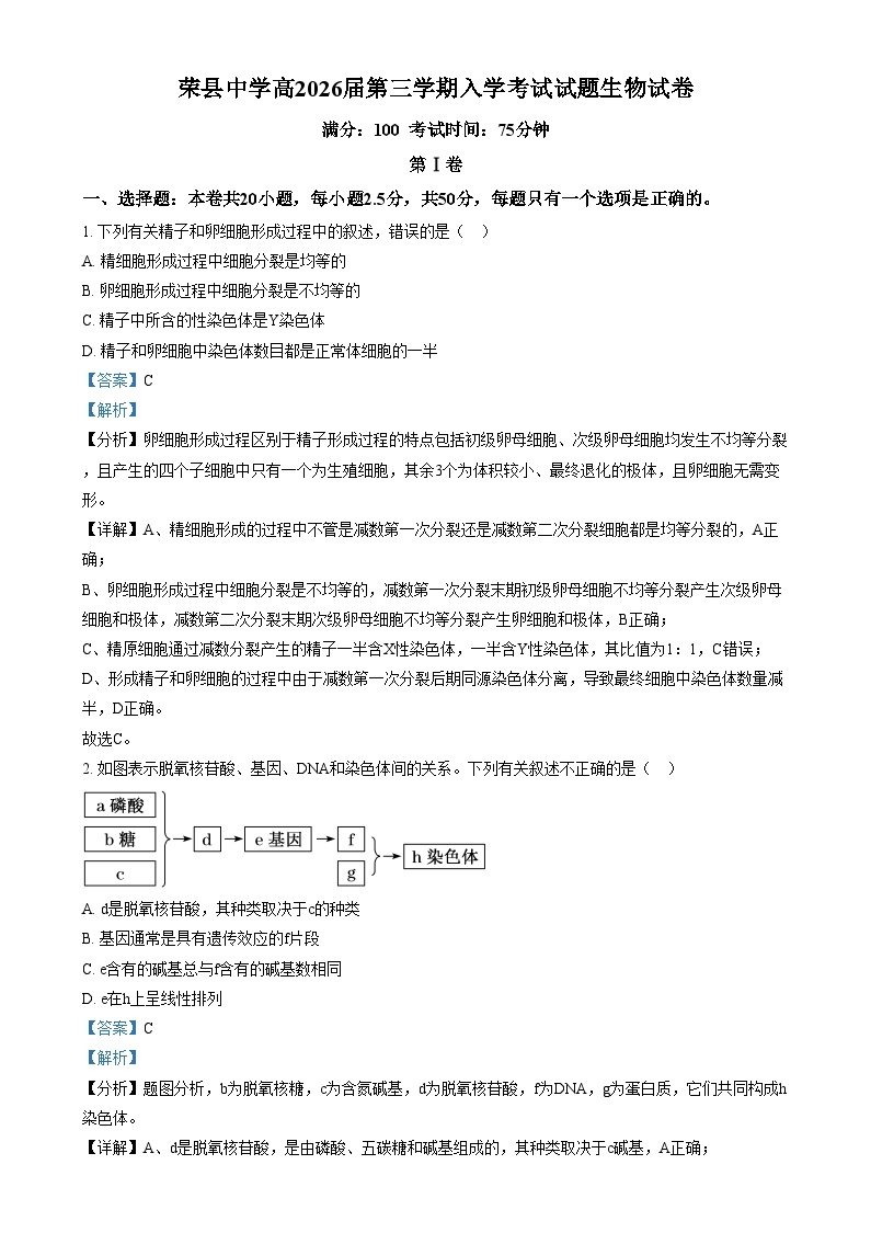 四川省荣县中学2024-2025学年高二上学期入学考试生物试卷（Word版附解析）