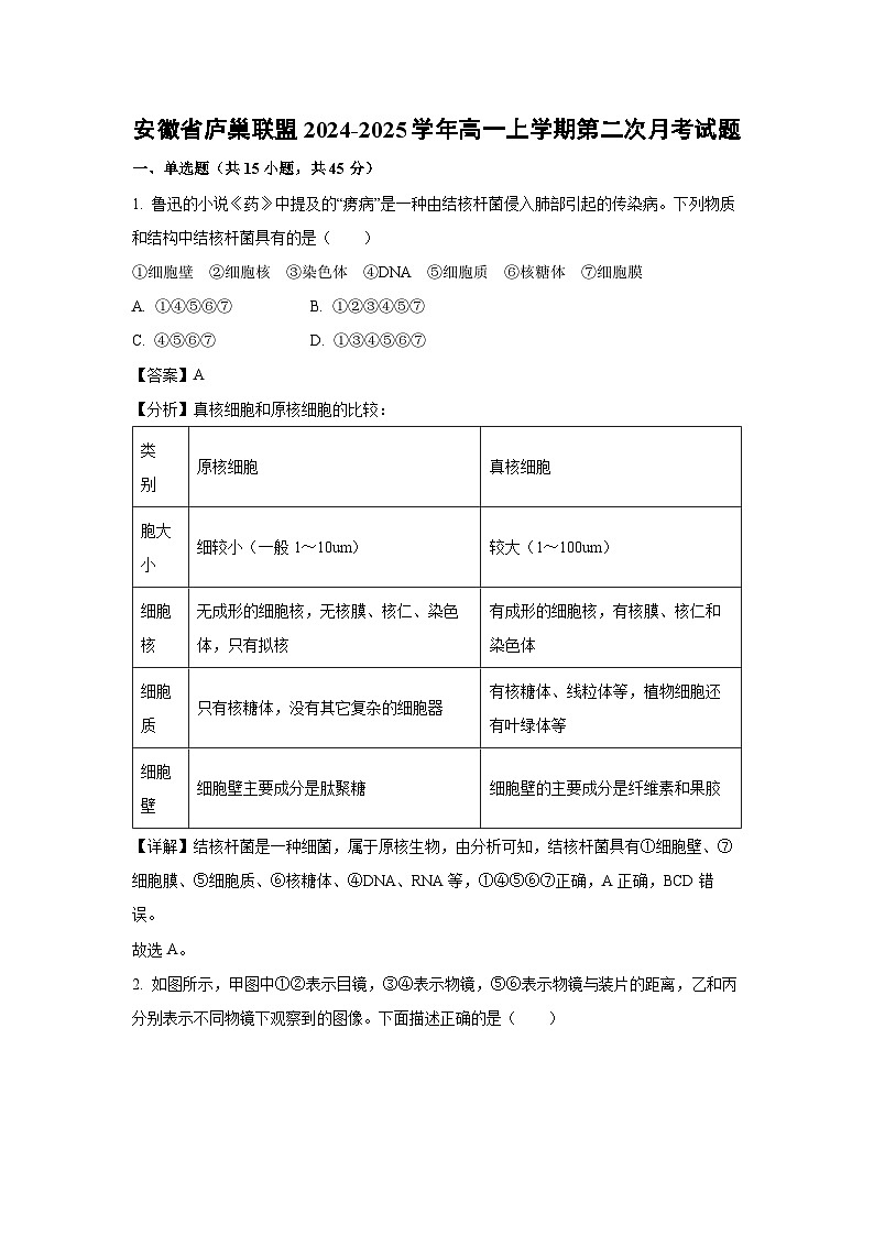 2024~2025学年安徽省庐巢联盟高一上学期第二次月考生物试卷(解析版)第1页
