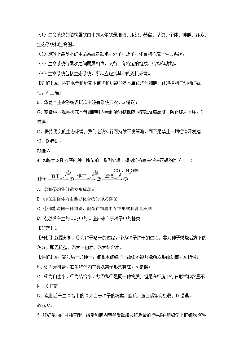 2024~2025学年安徽省庐巢联盟高一上学期第二次月考生物试卷(解析版)第3页