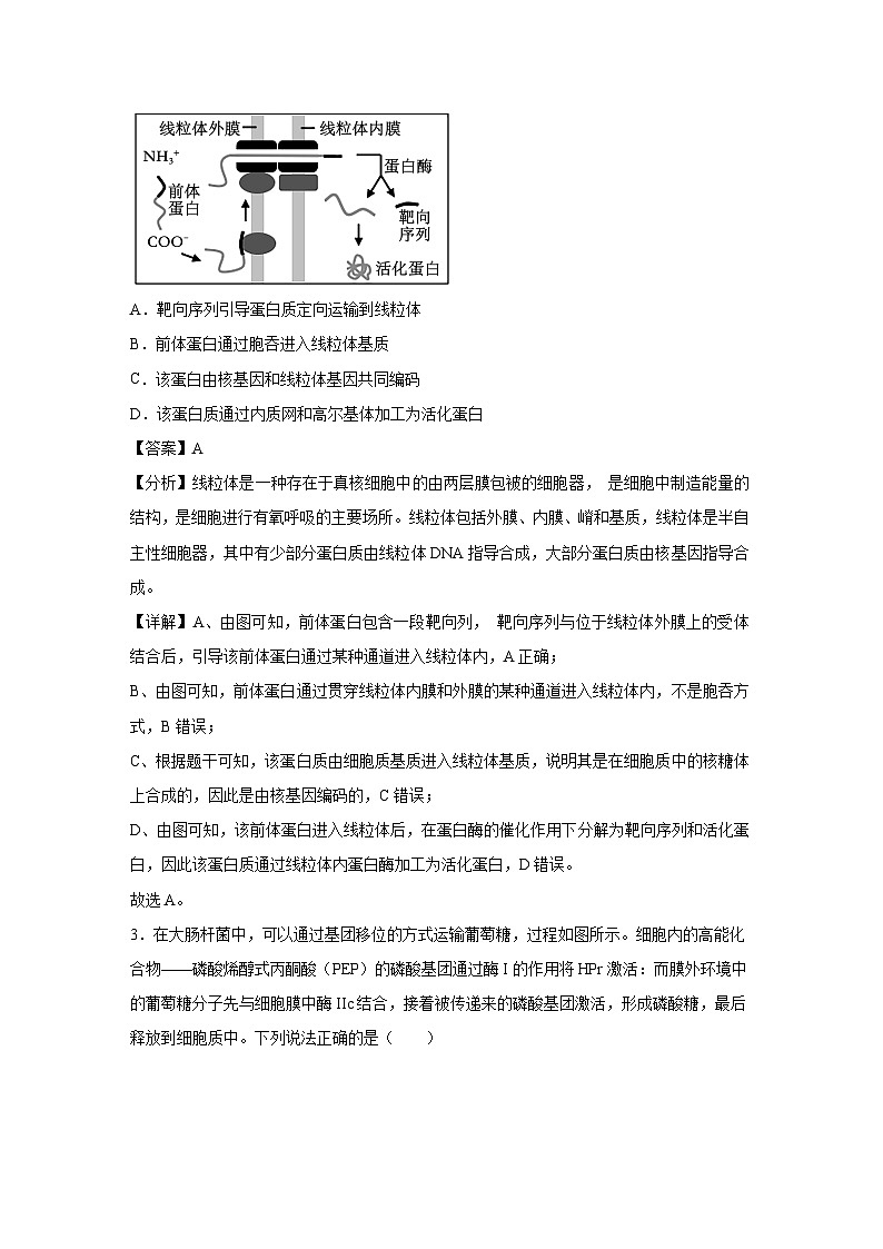 备战2025年高考模拟卷黄金卷06(天津专用)生物试卷(解析版)第2页