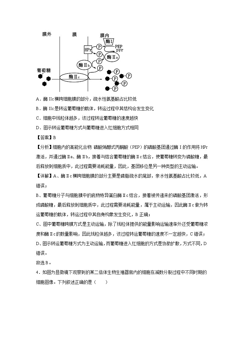 备战2025年高考模拟卷黄金卷06(天津专用)生物试卷(解析版)第3页