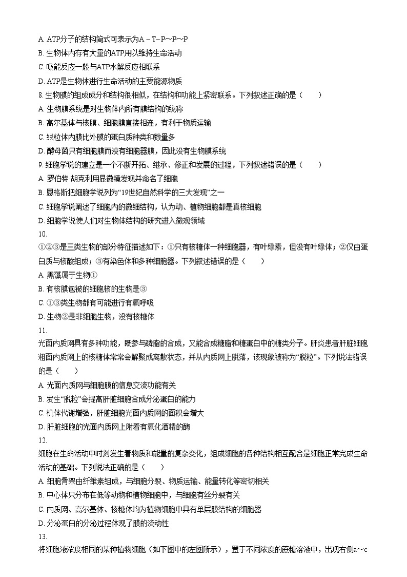 浙江省金华市义乌中学2024-2025学年高一上学期12月阶段性考试生物试题 Word版无答案第2页