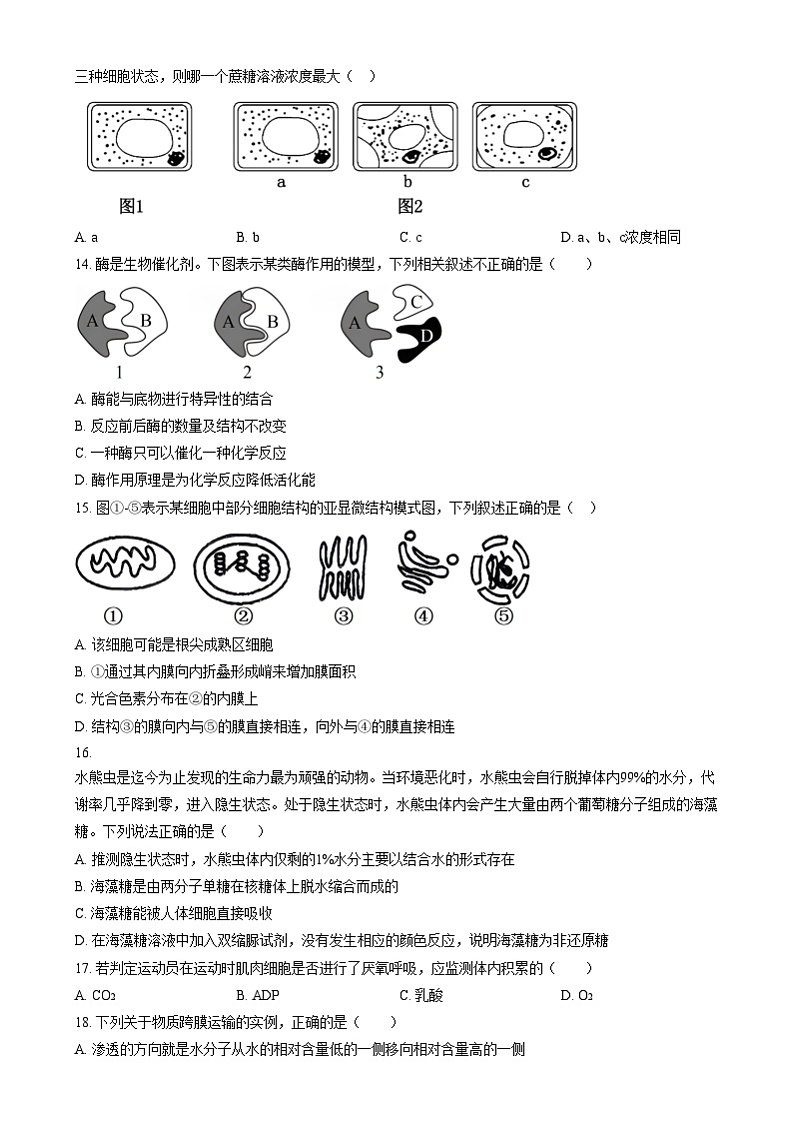 浙江省金华市义乌中学2024-2025学年高一上学期12月阶段性考试生物试题 Word版无答案第3页