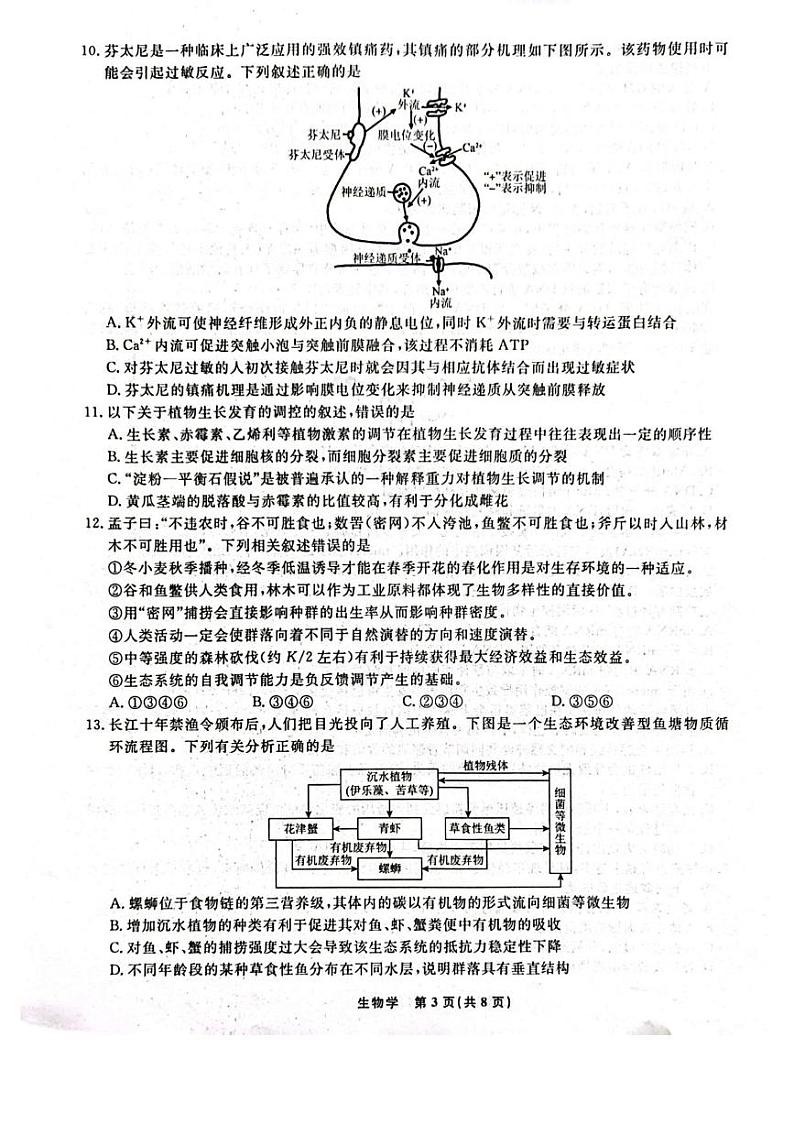 辽宁省名校联盟2024-2025学年高三上学期1月联合考试生物试题第3页