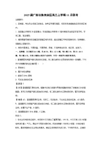 2025届广西壮族自治区高三上学期11月联考生物试卷（解析版）