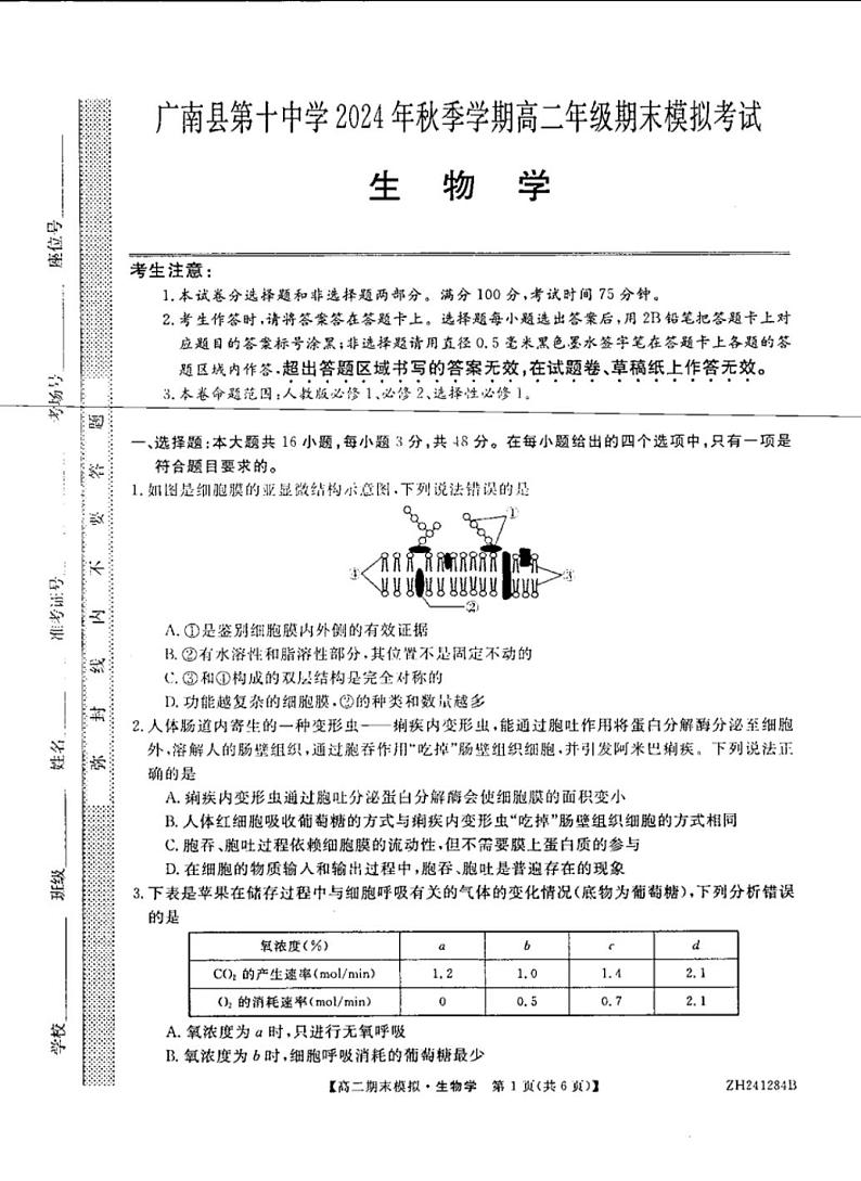 生物云南省文山壮族苗族自治州广南县第十中学校2024-2025学年上学期高三期末考试第1页
