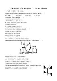 天津市红桥区2024-2025学年高二(上)期末生物试卷-