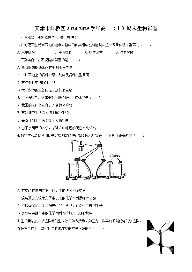 天津市红桥区2024-2025学年高二(上)期末生物试卷-第1页