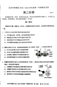 2025北京西城高二（上）期末生物试题（教师版）